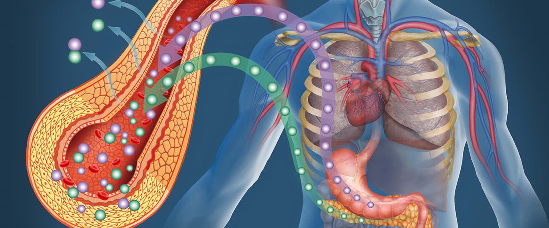 what-causes-type-2-diabetes